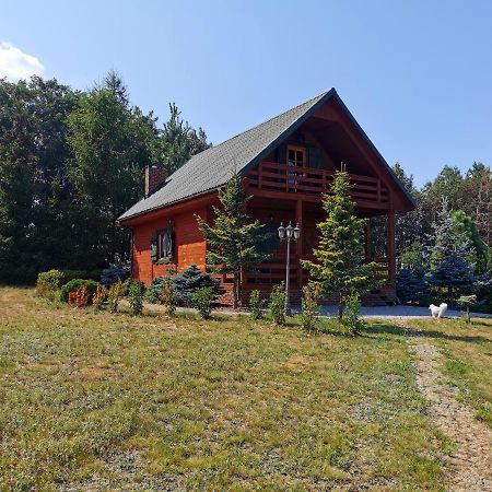 Domek Na Wsi Nad Jeziorem , Prywatny Staw Kamienczyk Dezerta Exteriér fotografie