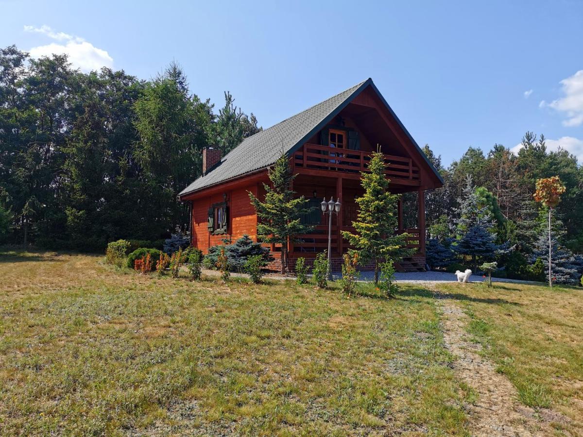 Domek Na Wsi Nad Jeziorem , Prywatny Staw Kamienczyk Dezerta Exteriér fotografie
